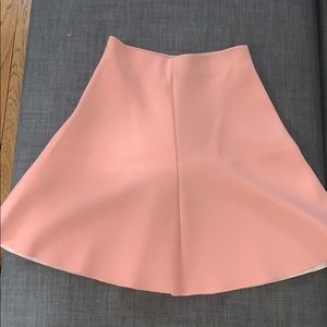 Zara Skater Skirt